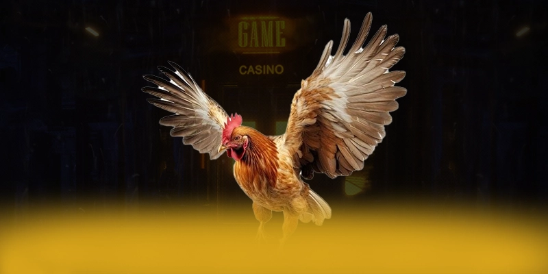 KUWIN - Tổng quan về thương hiệu dưới góc nhìn chuyên môn. KUWIN - Tổng quan về thương hiệu dưới góc nhìn chuyên môn.