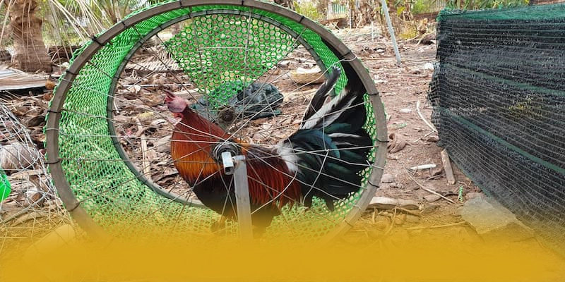 W88 - Trang game được cộng đồng tin tưởng 2025 – Khám phá hệ thống bảo mật tại W88 W88 - Trang game được cộng đồng tin tưởng 2025 – Khám phá hệ thống bảo mật tại W88