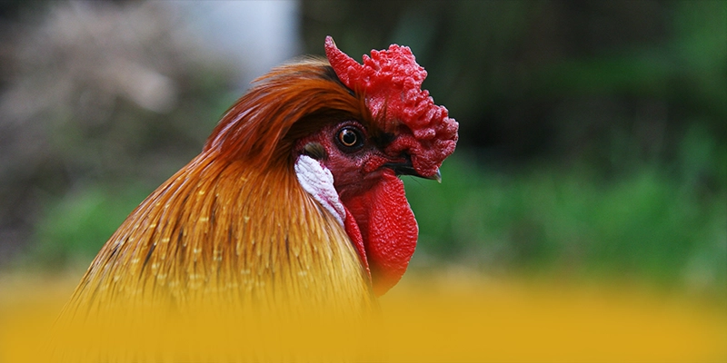 B52 - Cổng trò chơi với nhiều tựa game đổi thưởng hấp dẫn hiện nay – Khám phá B52 B52 - Cổng trò chơi với nhiều tựa game đổi thưởng hấp dẫn hiện nay – Khám phá B52