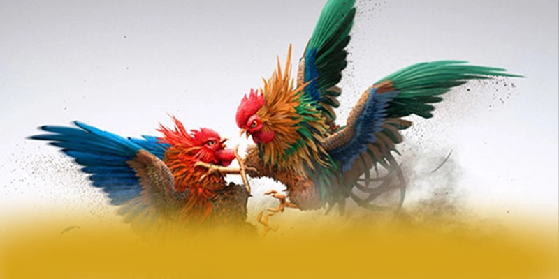 RR99 - Cổng trò chơi tốc độ cao trong giới game thủ RR99 - Cổng trò chơi tốc độ cao trong giới game thủ