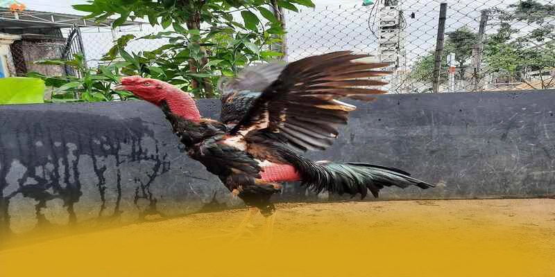 KKWIN - Thương hiệu với chính sách tặng thưởng đẳng cấp tại Việt Nam – Khám phá chi tiết KKWIN KKWIN - Thương hiệu với chính sách tặng thưởng đẳng cấp tại Việt Nam – Khám phá chi tiết KKWIN