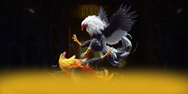 FC88 - Nền tảng cá cược quy tụ nhiều siêu phẩm hot đang làm mưa làm gió trên thị trường – Tổng hợp game hot tại FC88 FC88 - Nền tảng cá cược quy tụ nhiều siêu phẩm hot đang làm mưa làm gió trên thị trường – Tổng hợp game hot tại FC88